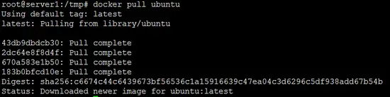 Download the Ubuntu Docker image.